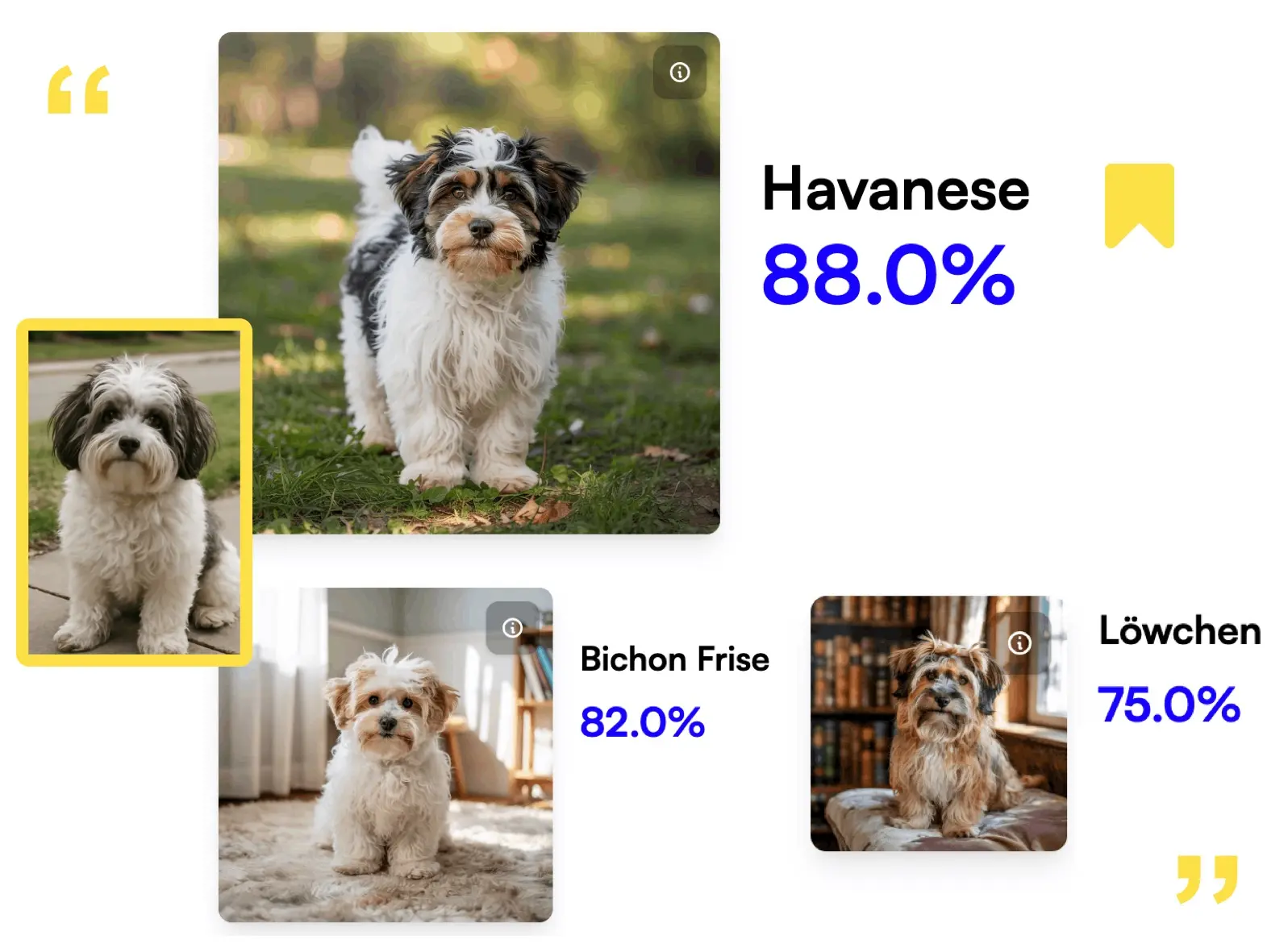 dog breed identifier intro, show how it works.
